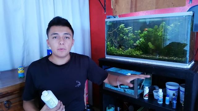 La IMPORTANCIA del ABONO LIQUIDO en el ACUARIO PLANTADO | AcuariosLP смотреть онлайн
