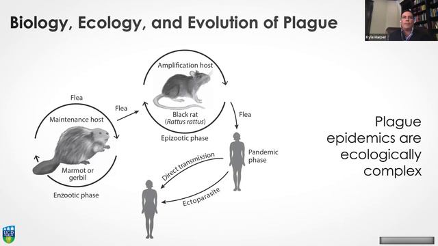 Kyle Harper - Microbes and the Ancient Anthropocene смотреть онлайн