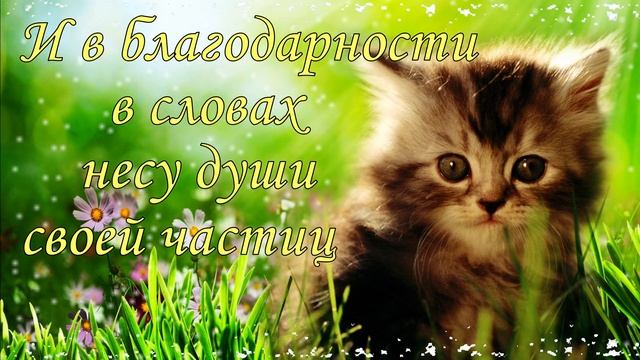 Спасибо большое ! Спасибо за внимание . Благодарю от всей души . Открытка спасибо смотреть онлайн