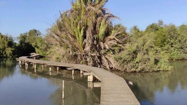 שמורת עין אפק. Заповедник Эйн-Афек, Израиль. смотреть онлайн