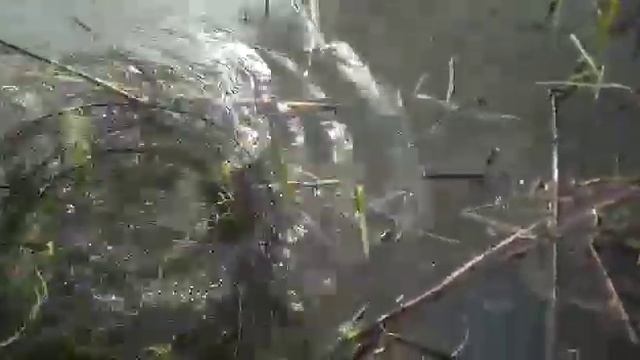 рыбалка,платник "Сергеевка" смотреть онлайн