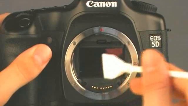 How to Clean dust off the sensor of the Canon EOS cameras смотреть онлайн