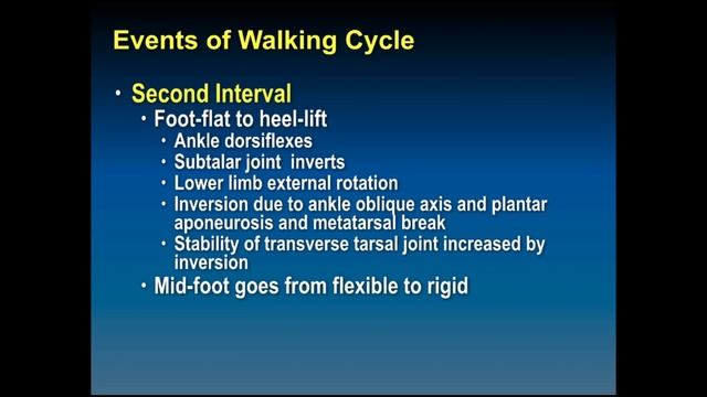 565 Biomechanics of Gait смотреть онлайн