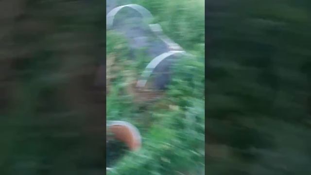 Выкапывание картошки мотоблоком урожай 2017 смотреть онлайн