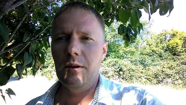 Сказка про зубную фею смотреть онлайн