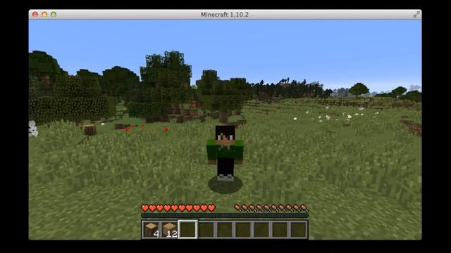 NEW SKIN TIME | Minecraft смотреть онлайн
