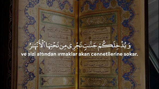 Tahrim Süresi 8 Ayet Ali Nameer #quran_tilavetii #quran #quranrecitation #kuran #ayet