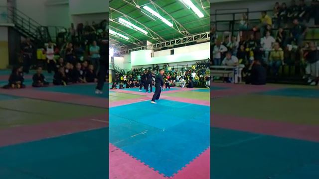 Forma 5 larga Kenpo carlos figueredo , cintas negras estadal 2016 смотреть онлайн