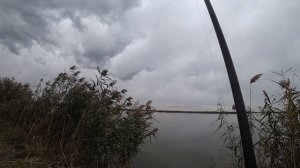 РЫБАЛКА на ТОЛСТОЛОБА ОСЕНЬЮ ! Монтаж УБИЙЦА ТОЛСТОЛОБА, фидер ДУГОЙ!!!