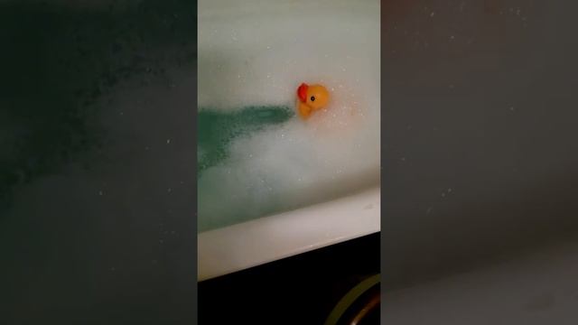 Rubber ducky floating in bathtub смотреть онлайн