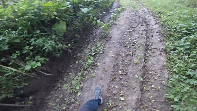 Honda crf 250 rally по грунтовке. смотреть онлайн