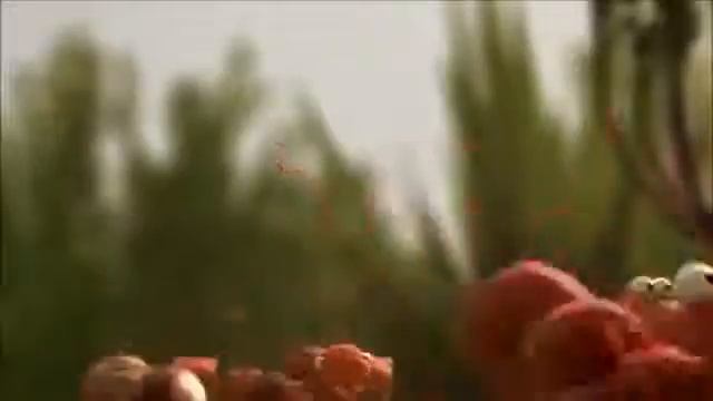 Только вместе, Мы Сила! смотреть онлайн