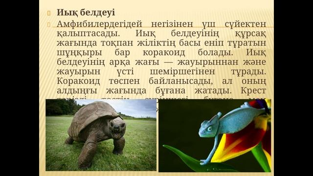 ТОКТАМЫСОВА С К ЗООЛОГИЯ смотреть онлайн