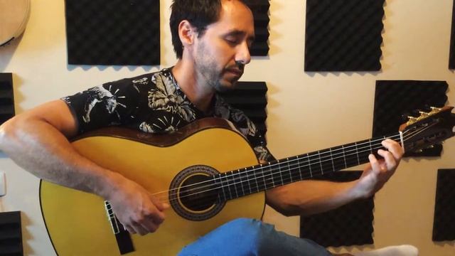 Guitarra de palosanto de indias y abeto alemán смотреть онлайн