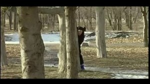Маски на выборах - 4