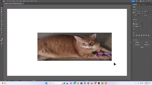 How To Resize An Image Using Adobe Illustrator 2023 смотреть онлайн