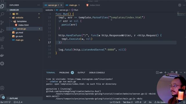 Implementando interface web em Golang (parte 01) - O servidor смотреть онлайн