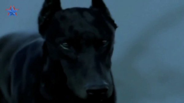 Madonna - Frozen (Arefiev Remix)