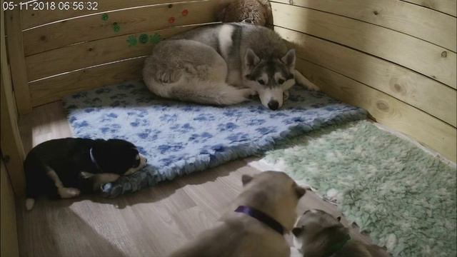 Счастливая мама Яника и Разноцветное Счастье 5 ноября смотреть онлайн