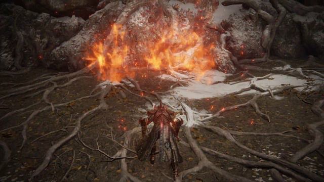 Elden Ring - Crucible Knight meets Malenia смотреть онлайн