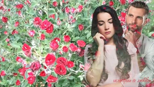 Решив проследить за мужем Вероника узнала, что родители отдали ее замуж за долги фирмы Истории любв