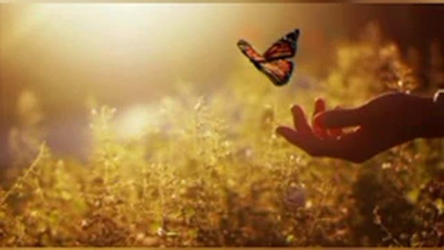 23 июня. Мелоди Битти смотреть онлайн