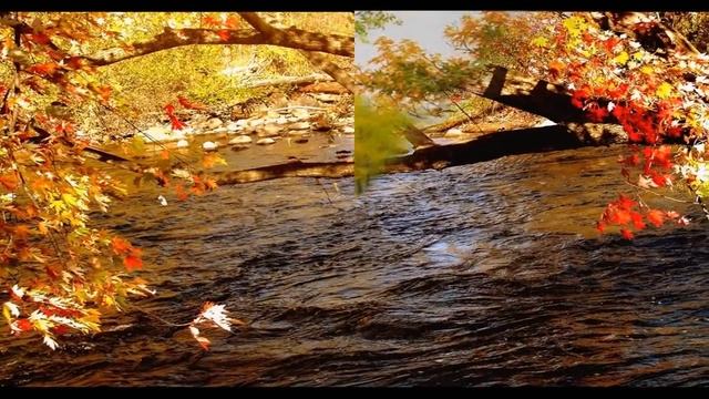 Ф.Шопен.Ноктюрн.
Автор видео: Asja Rigik @AsjaRigik