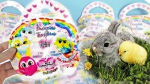 ПТЕНЦЫ И ЗАЙЧИКИ ПУШИСТЫЕ ИГРУШКИ АНТИСТРЕСС! Обзор новой коллекции сюрпризов СБАБАМ НОВИНКА 2023