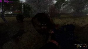 S T A L K E R   Народная Солянка 2016 Медведи в Забытом лесу  !