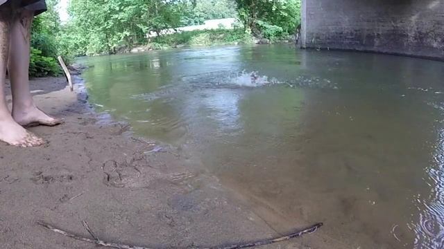 Fishing Minute Tip: My Favorite Trout Setup смотреть онлайн