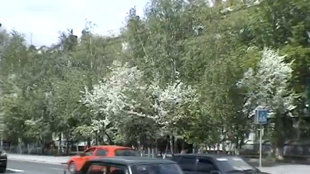 Весна в Тюмени для Саши и Оксаны смотреть онлайн