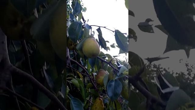 Джубга .09.09.22. смотреть онлайн