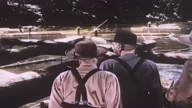 A Must-See Western - Western Movies Full Length In English  - The Big Trees