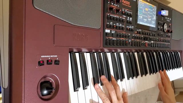 AUTUMN LEAVES (Frank Sinatra) - INSTRUMENTAL - KORG PA1000 смотреть онлайн