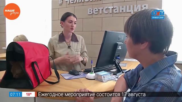 Пушистое утро — путешествие за рубеж смотреть онлайн
