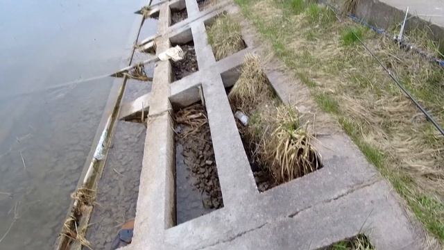 18 апреля 2023 года Боковой кивок на Гребном канале! смотреть онлайн