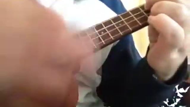 Plastic Jesus on ukulele смотреть онлайн