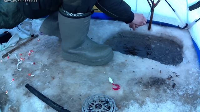 рыбалка на амуре 5.02.23. зачётная щука смотреть онлайн