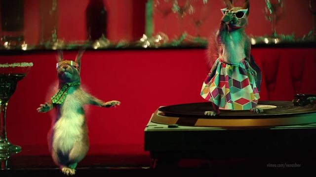 Новогодние заставки "Белки" Первого канала (2017-2018, original, FHD) смотреть онлайн