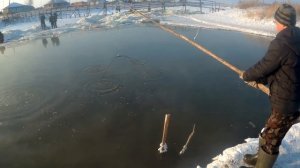 Рыбалка на подъЁмник паук зимой вместе с Сибирским Странником. Сазан зимой на морковку.