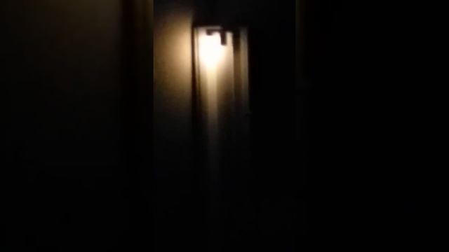EOL fluorescent tube #19: Sylvania STANDARD 36W T8. смотреть онлайн