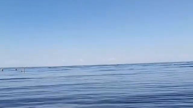 Лирика. Стихи смотреть онлайн