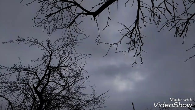 Video_20190224051724117_by_videoshow