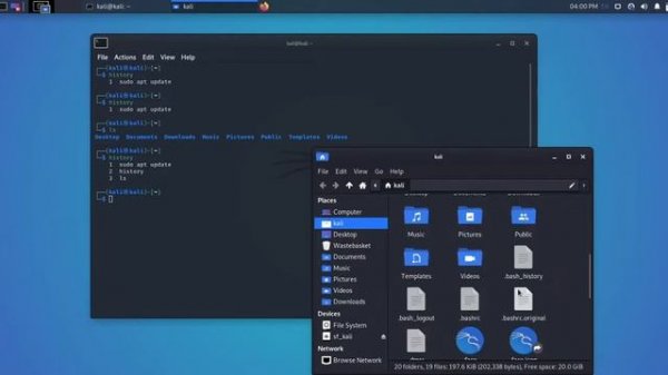 How to delete terminal history in Kali linux