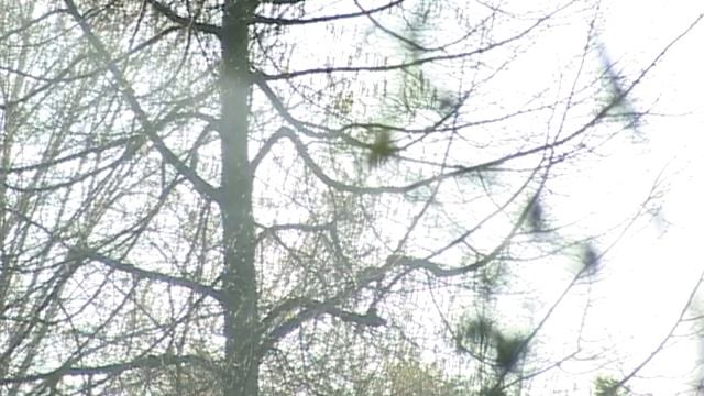 Германия3 смотреть онлайн