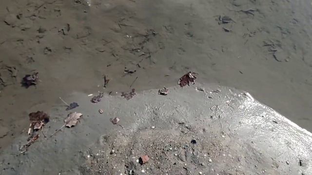 Поход на Азовское море, Мариуполь, необычные мини островки. смотреть онлайн