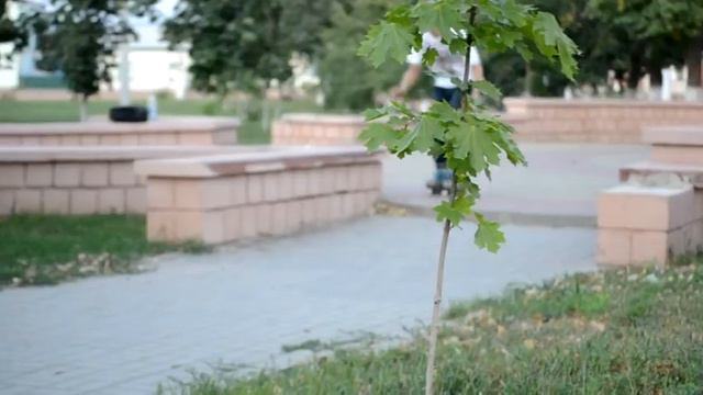 мой первый про файл смотреть онлайн