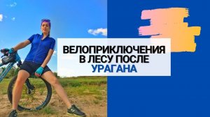 велоприключения в лесу после урагана.укус шершня.mp4