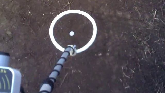 Терра Н монета