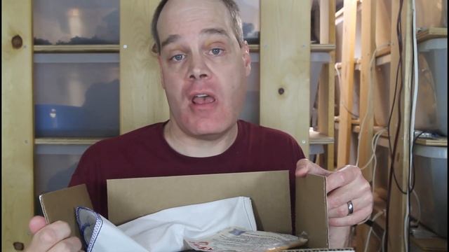Shipping Your New Pet Boa- What to Expect! смотреть онлайн